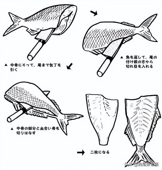 老漢食話-《漫談日本料理》之二:刺身