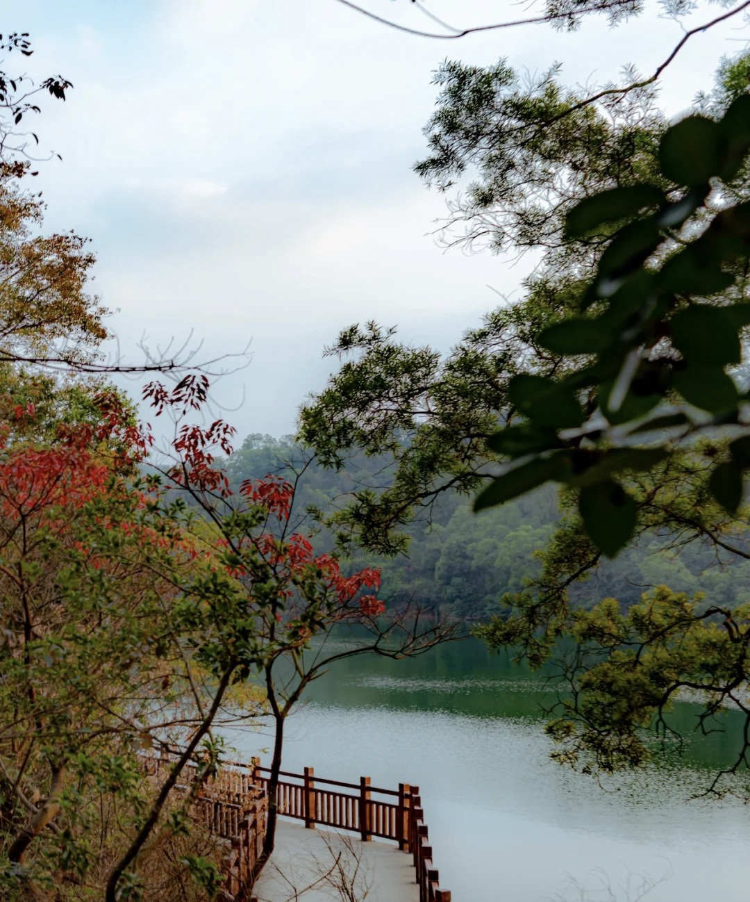 圭山国家森林公园图片