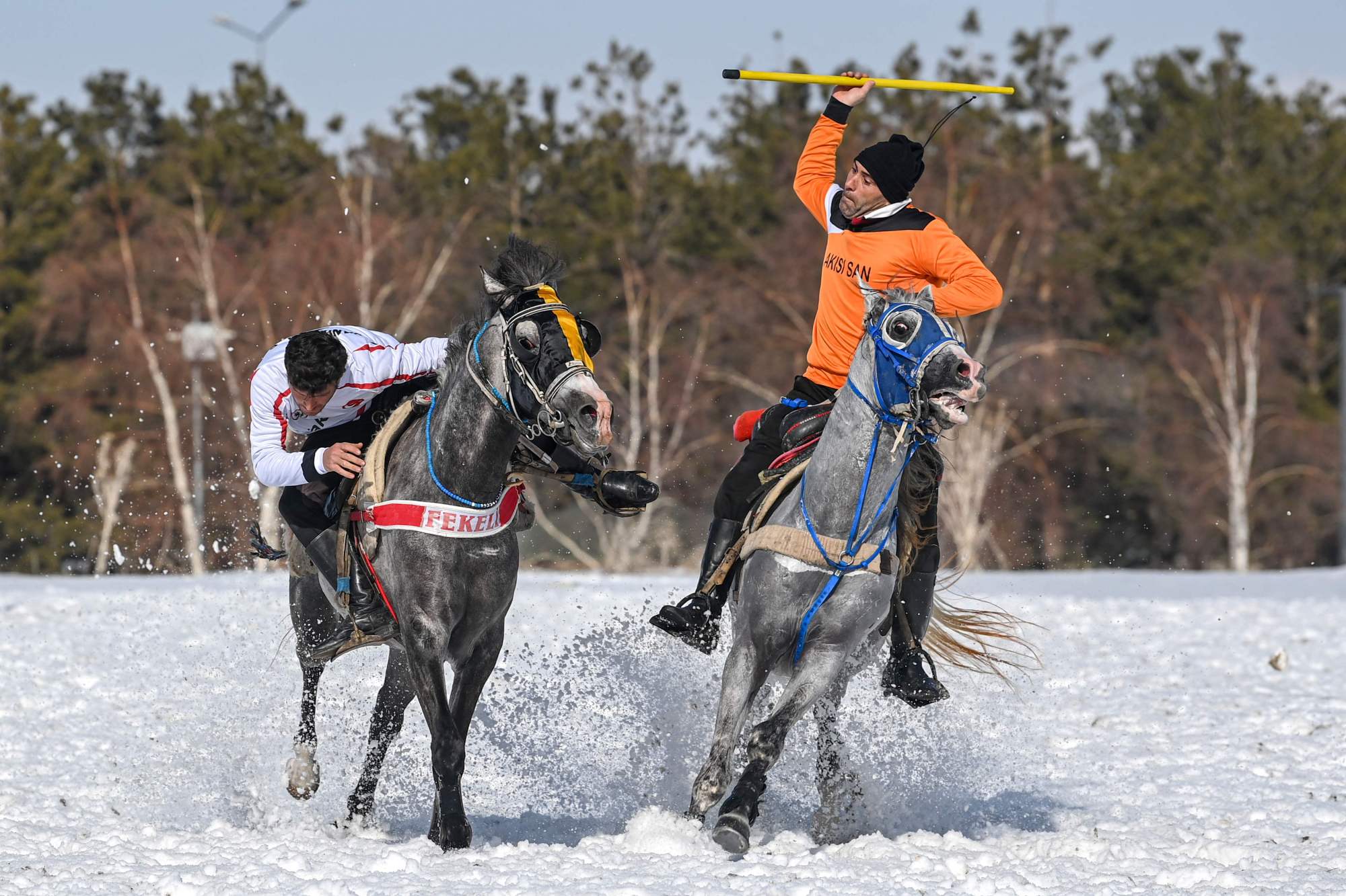(17)土耳其:骑马掷标枪