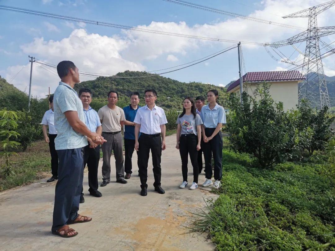 蒋建伟到覃塘区开展工作调研