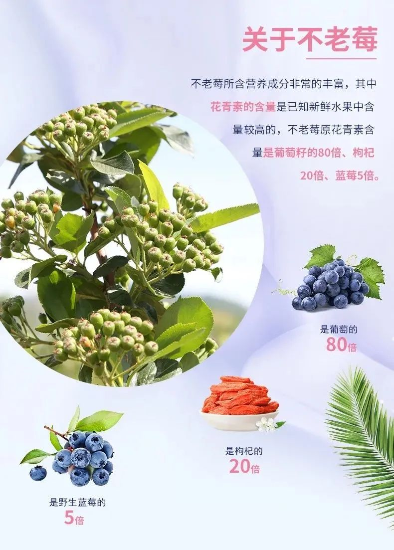 我是一粒不老莓,营养本领强