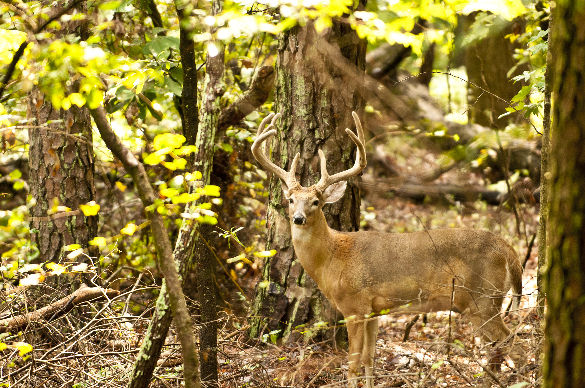陆清漪墨景深(全集完结小说大结局)陆清漪墨景深全文阅读笔趣阁55