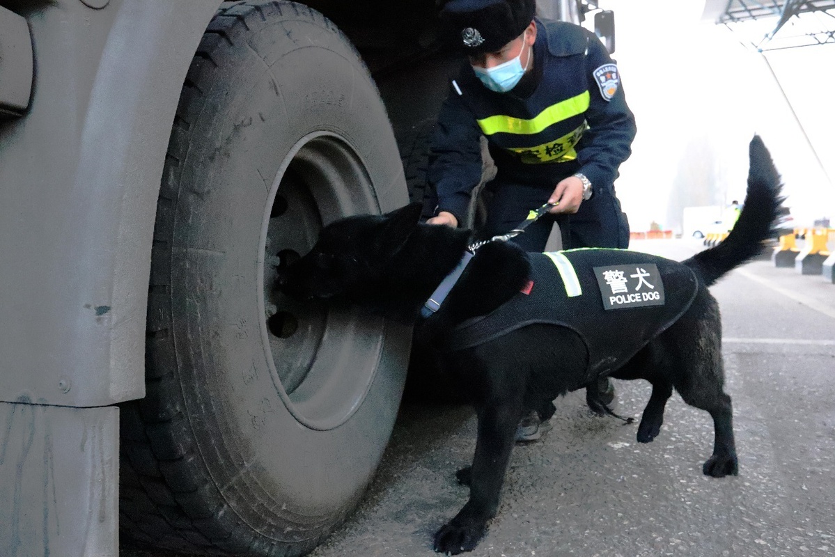 警犬工作图片