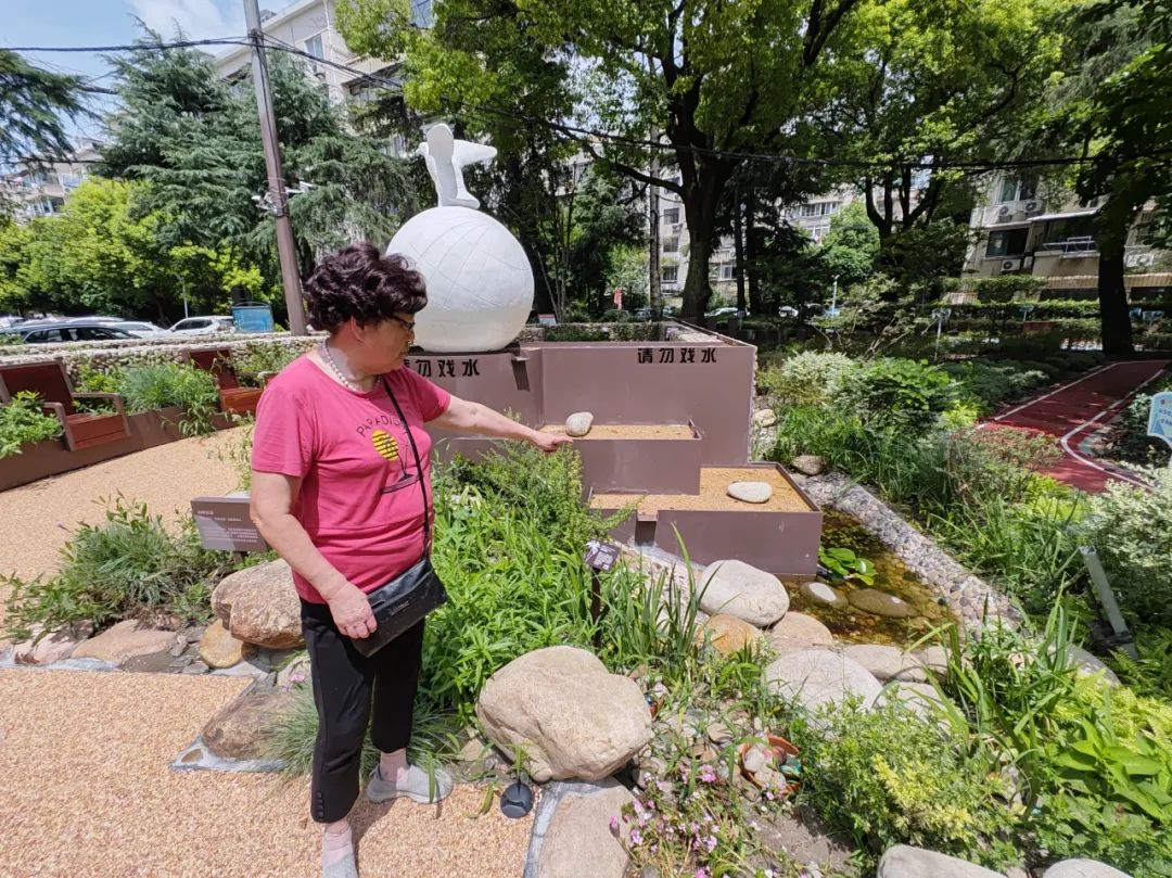 程家桥街道有这样一群"护花使者"