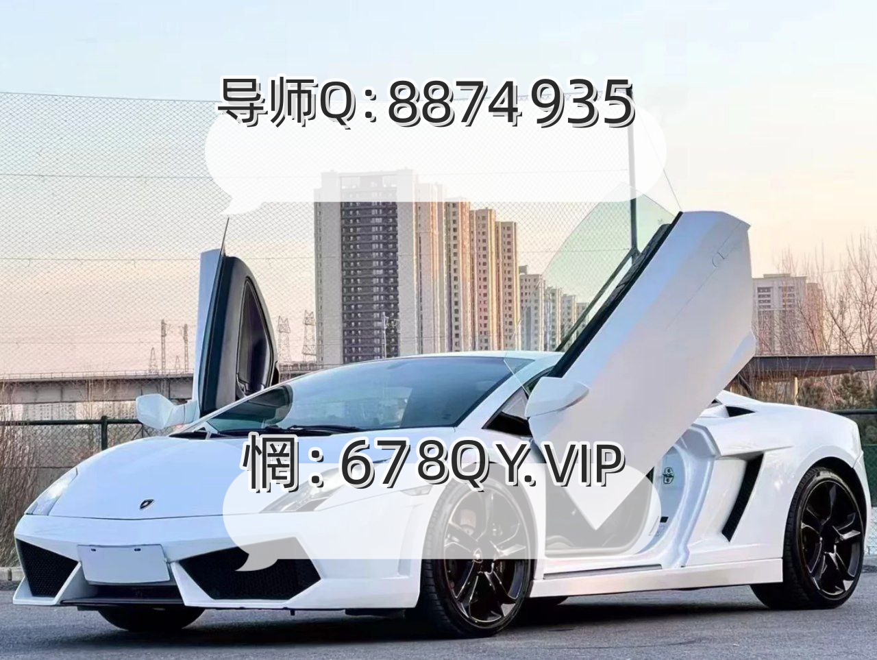 今日访谈:大发教你如何正确回血上岸百分百成功