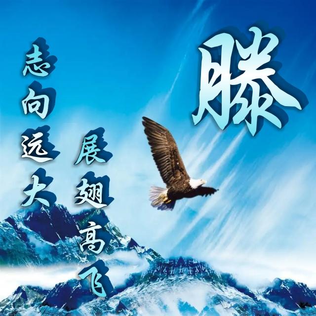雄鹰展翅,志存高远,展翅高飞