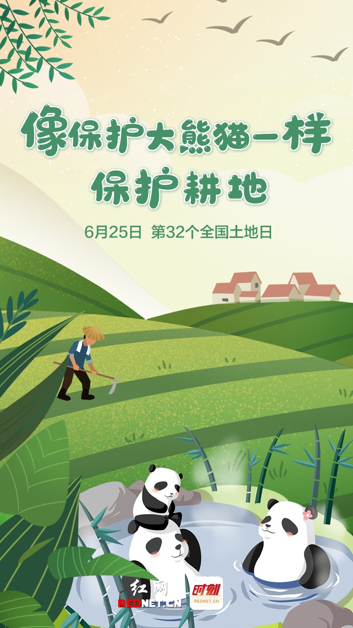 海报丨严守耕地红线 像保护大熊猫一样保护耕地