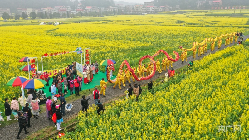 湖南:花如海人如潮,衡阳县油菜花节开幕