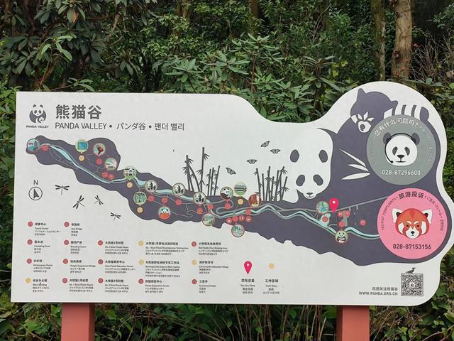 青城山熊猫谷