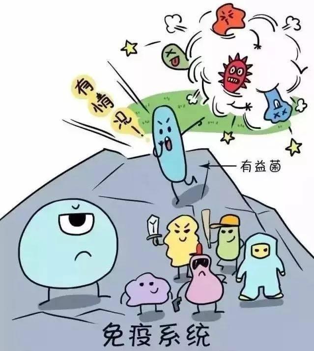 一文读懂|"长新冠"与肠道菌群紊乱的关系