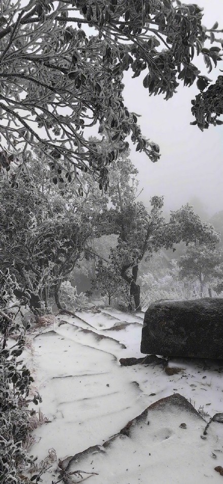 飘雪图片 伤感图片