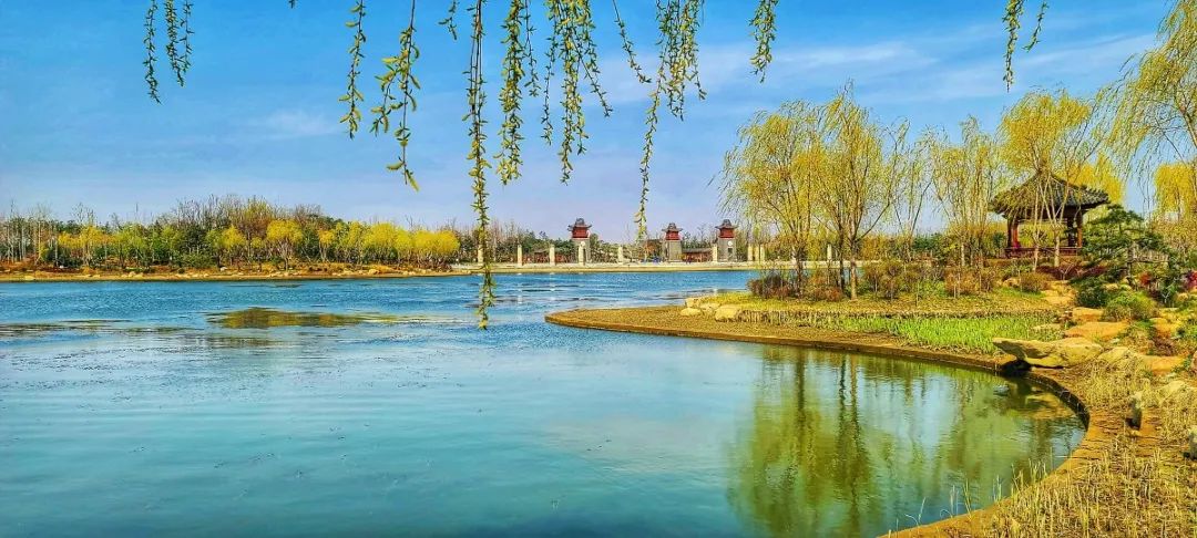 微信图片_20200507160641.jpg 图片