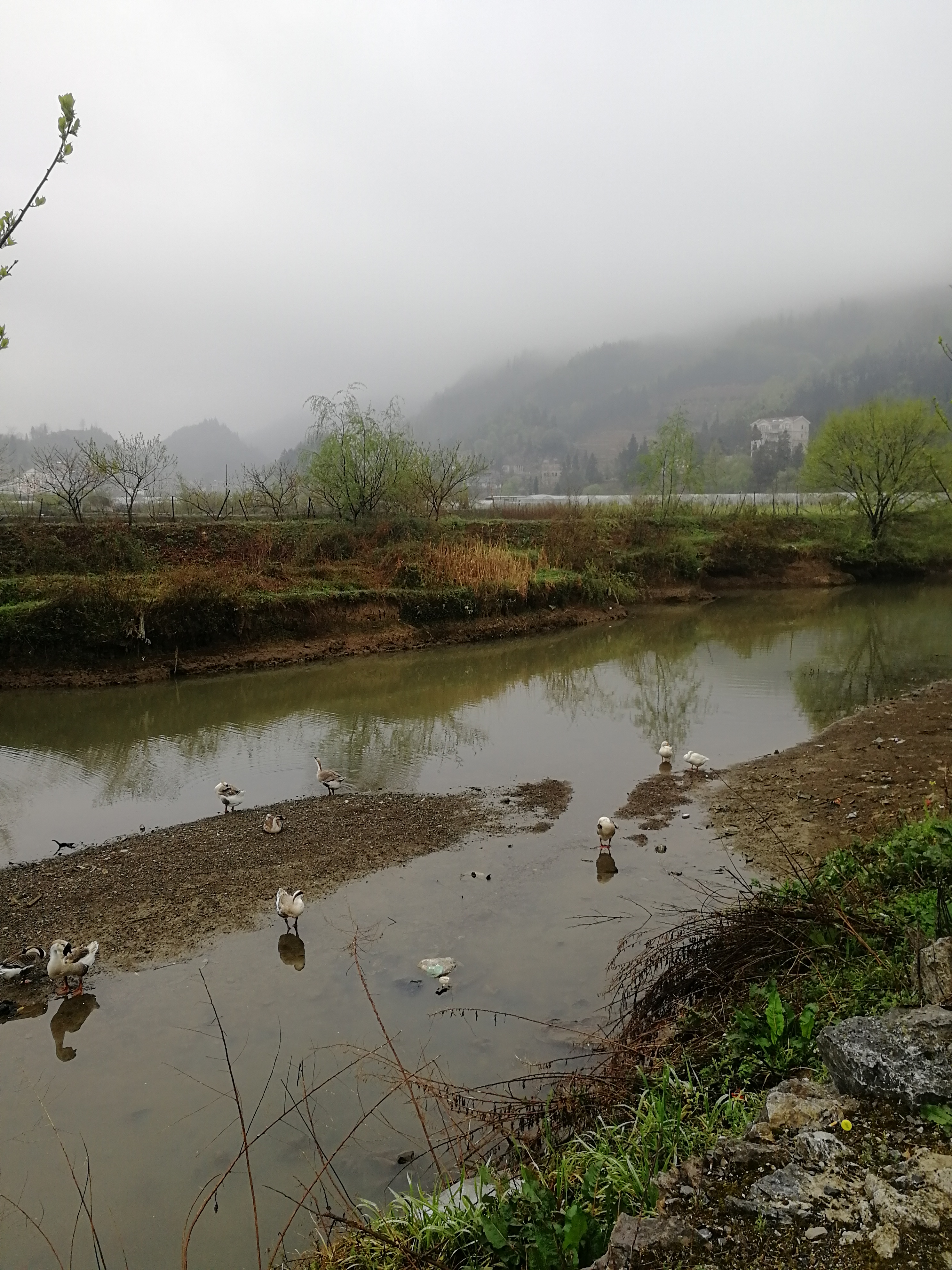 濛濛细雨中的山峰