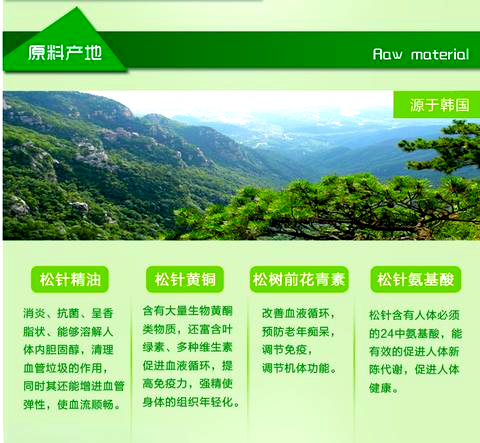 松针油功效与风险:你需要知道的所有细节