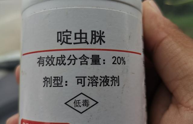 啶虫脒到底是怎么杀虫的?