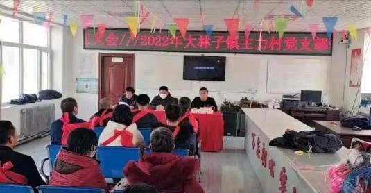 合作社里尝甜头 新年喜获好彩头 ——扶余市大林子镇主力村召开党支部