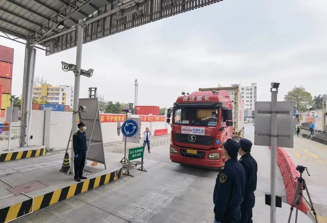 驰援香港图片