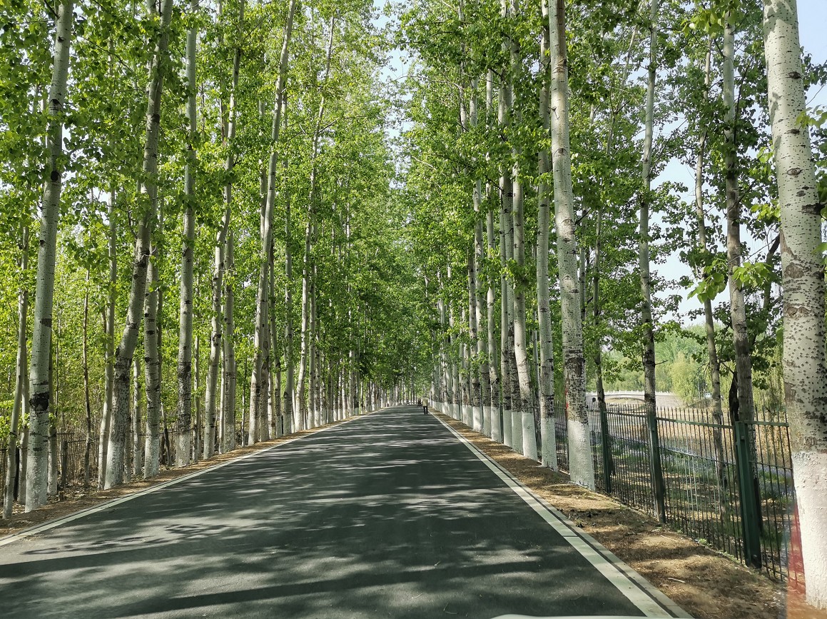 多图预警!2021年北京"最美乡村路"出炉