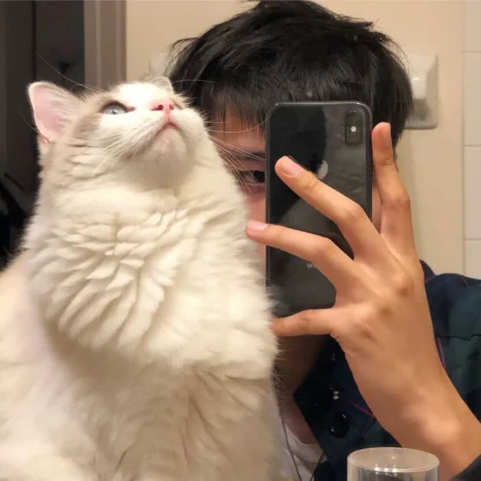 帅帅酷酷的男生头像,干净积极的微信头像