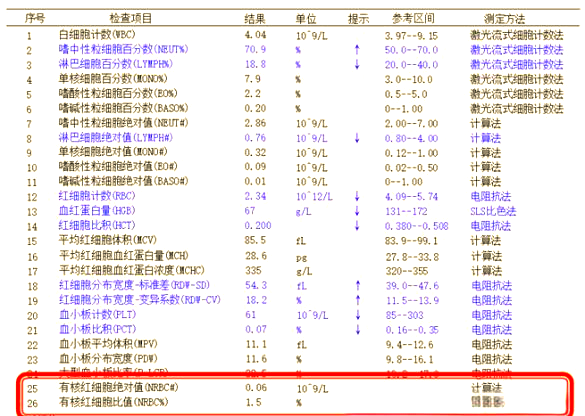 有核红细胞:临床意义与检测全解析