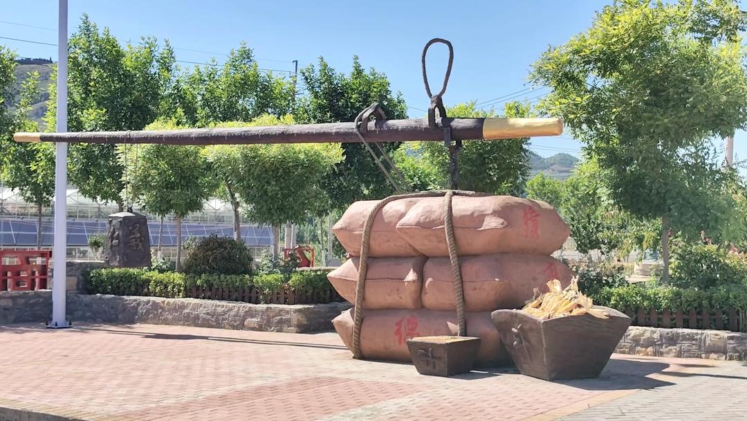 枣庄社会信用体系建设调研行⑦山亭区徐庄镇安上村:信用赋能合作社133