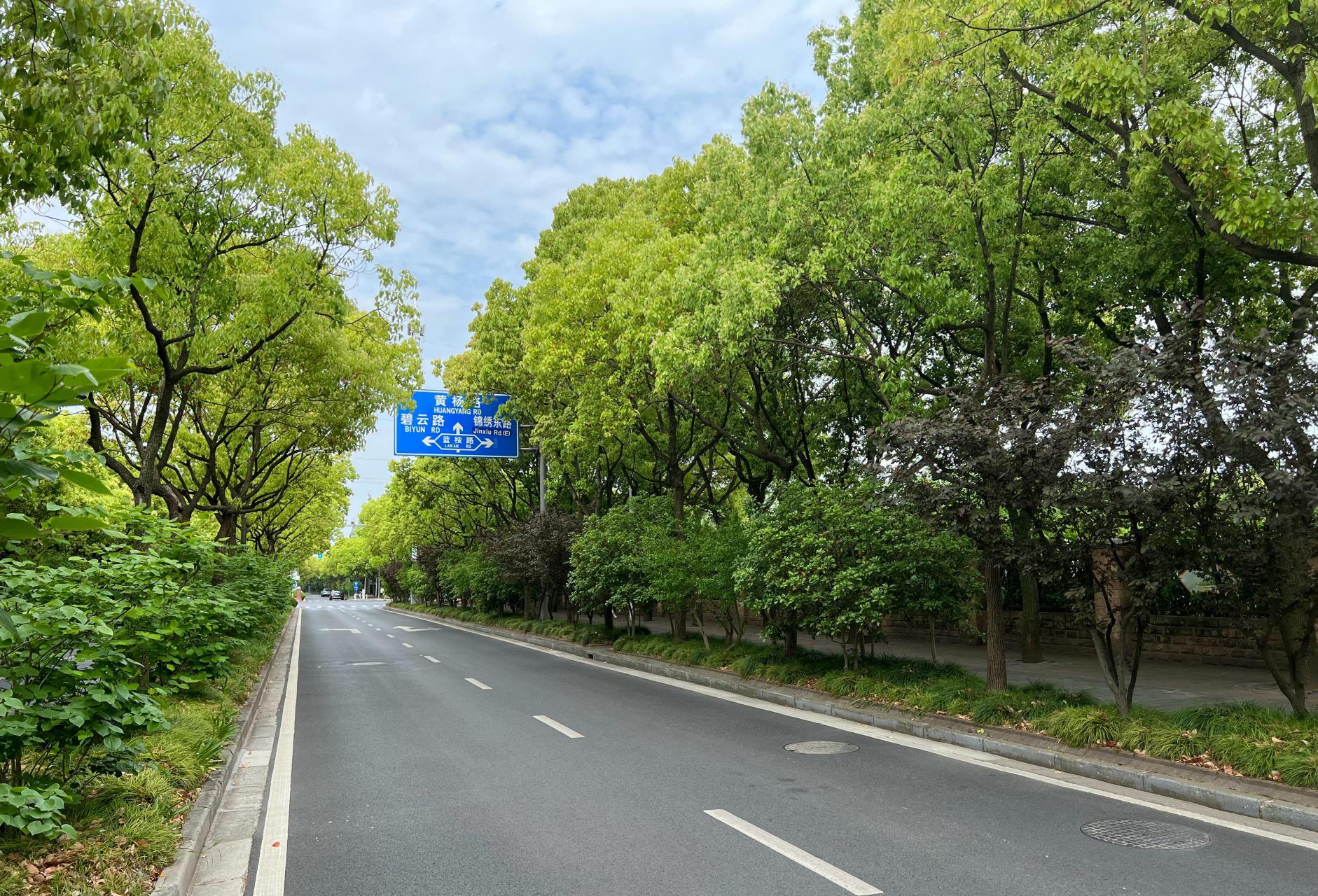 五一节,没出上海,无美图可晒哎.就晒下家门口这条小马路吧.