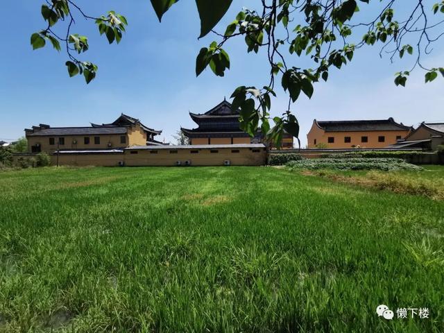 许村|一个村的《水经注》