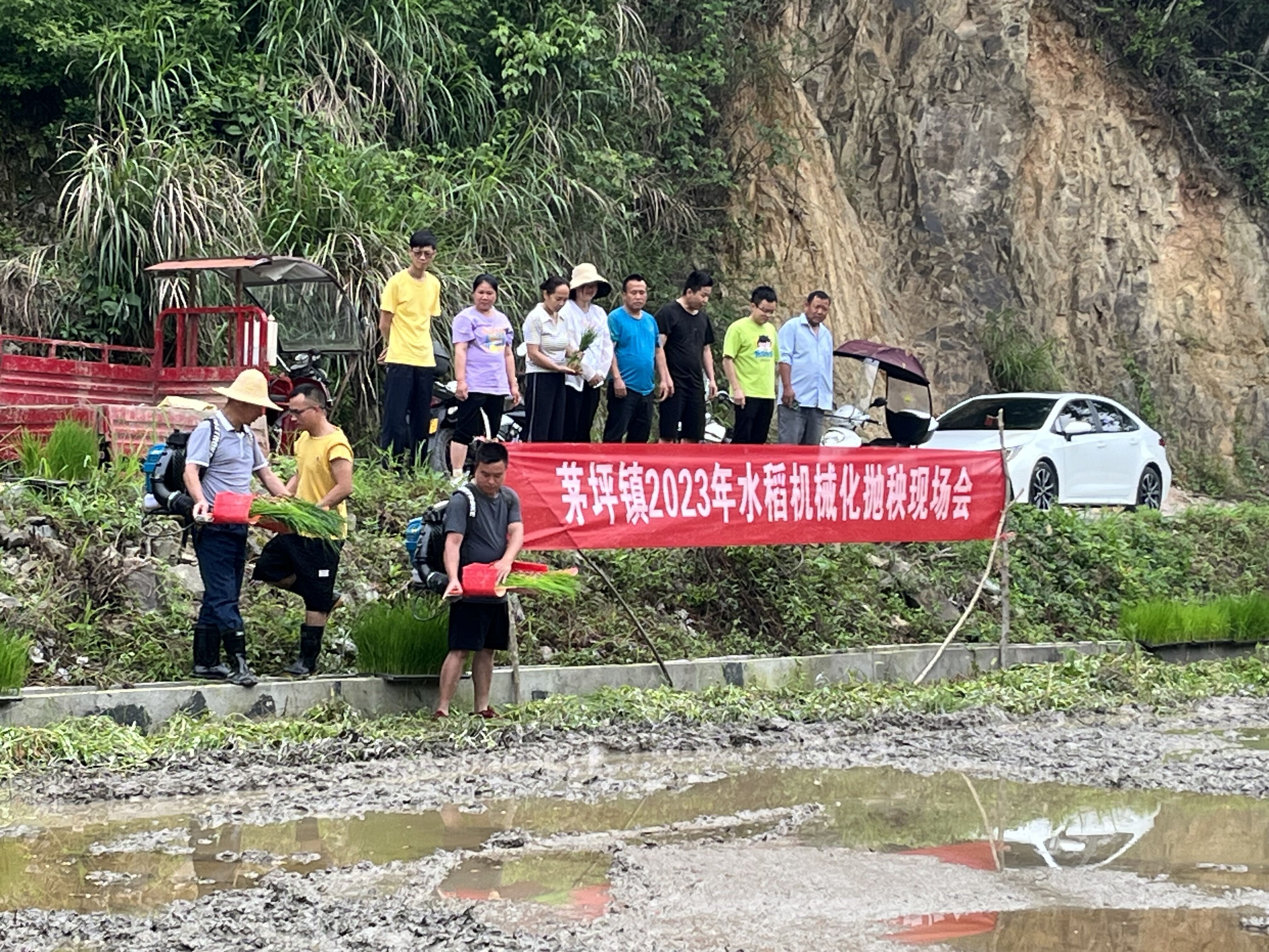 锦屏县茅坪镇图片