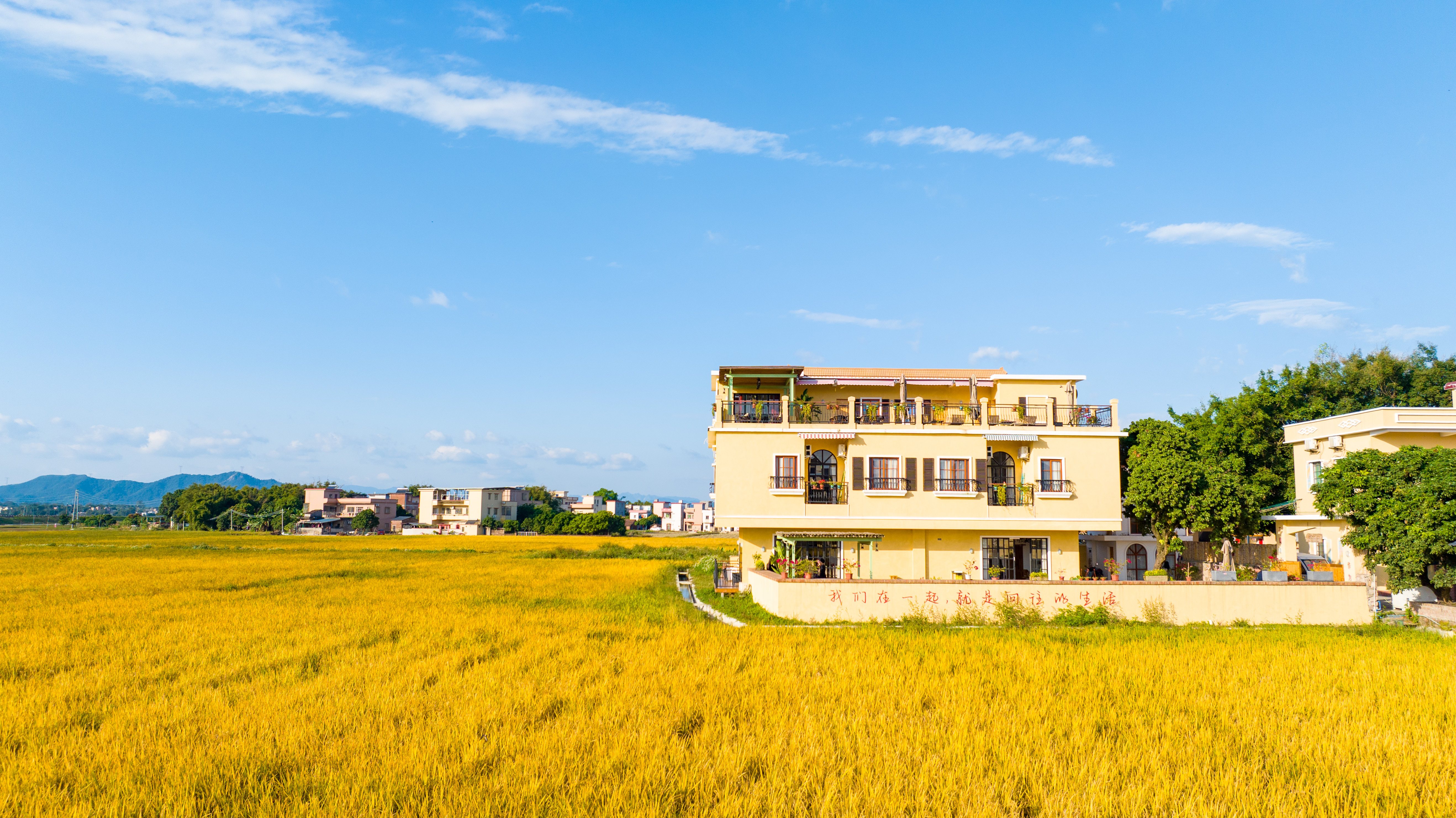 从化龙潭村:百年古村,趁"墟"而入|广州百村观察