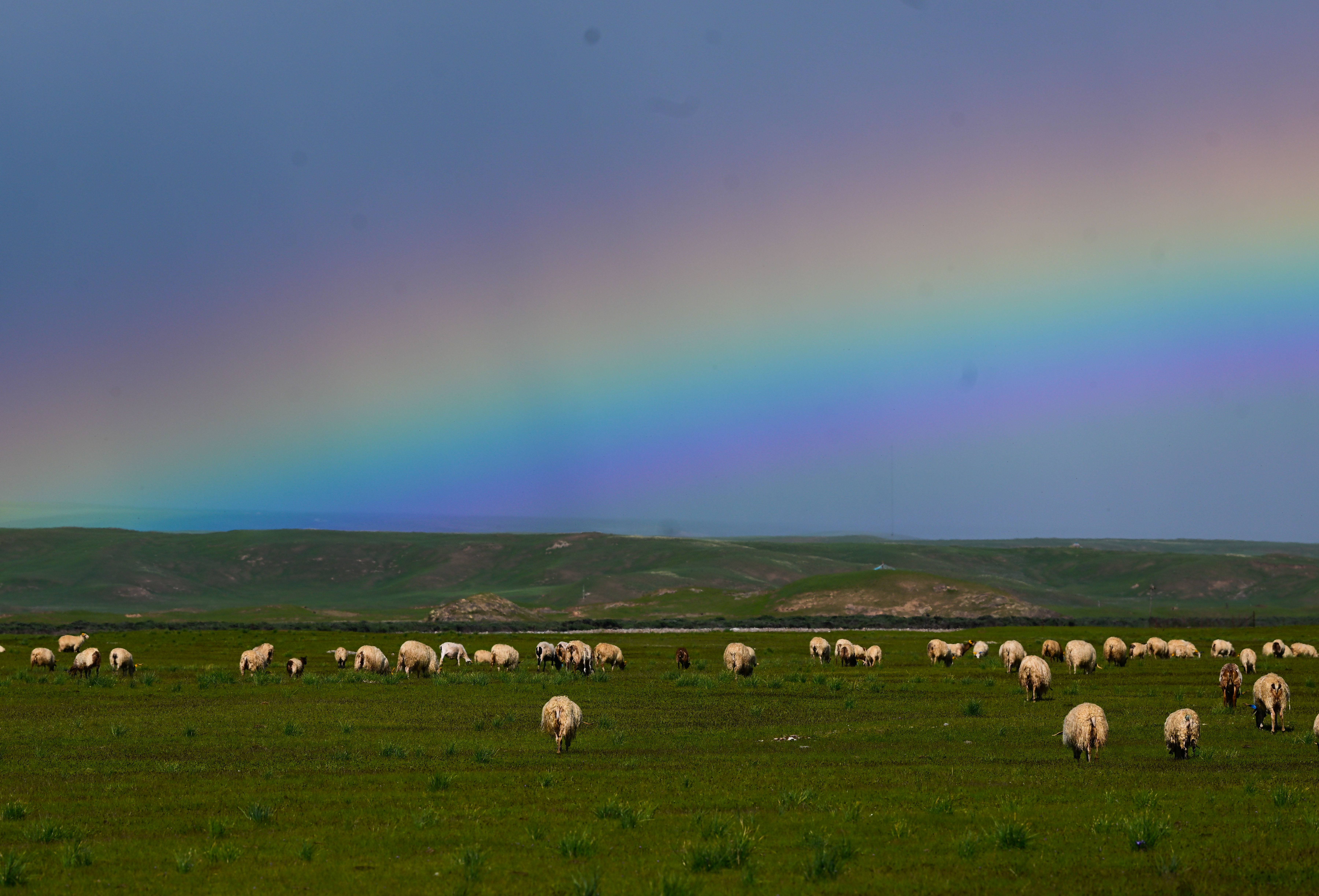 (环境)夏日天峻草原