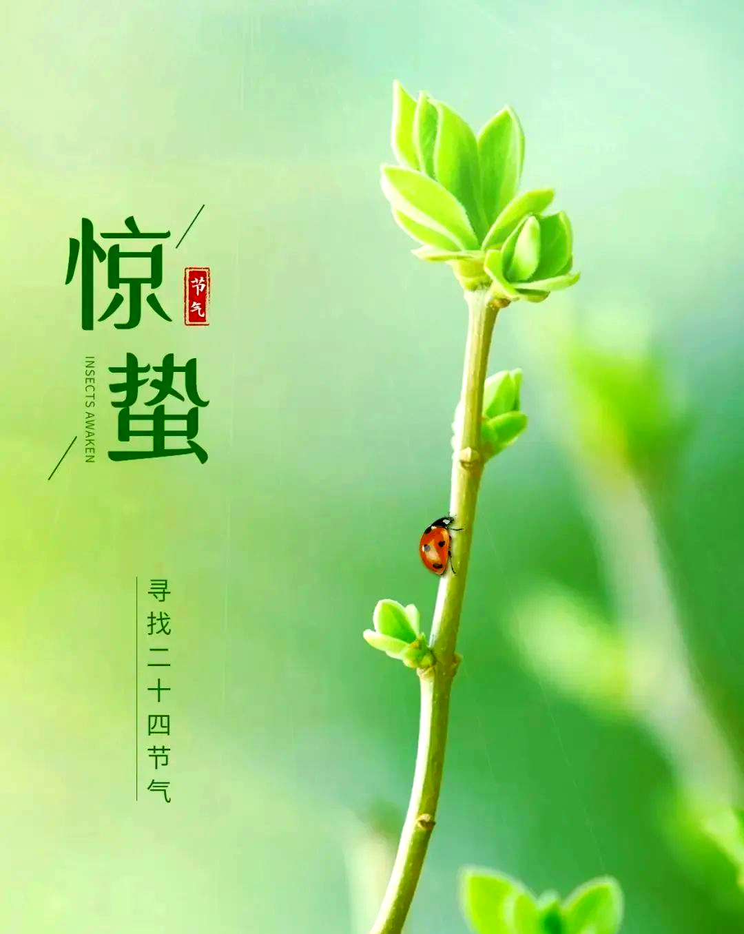 惊蛰节气的意义与习俗全解析