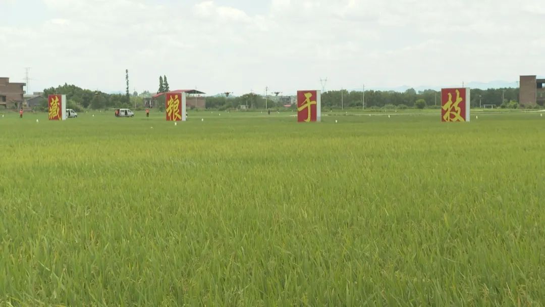 湖南郴州安仁县委常委副县长廖玉康:大力建设一区一业五园