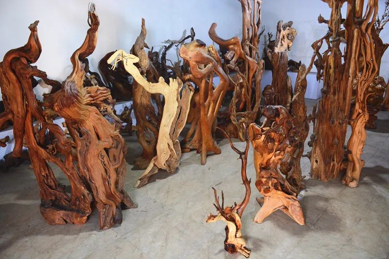 新春走基层:叶石和的根艺人生,"化朽木为传奇"