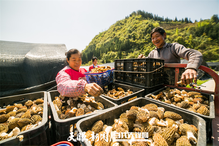 新发展理念的毕节实践|大方县委书记游劲松:奋发有为推进贯彻新发展
