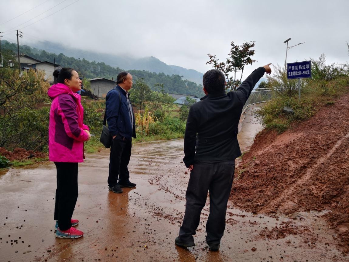 德昌县人大副主任何萍到南山乡督查森林草原防灭火专项整治工作