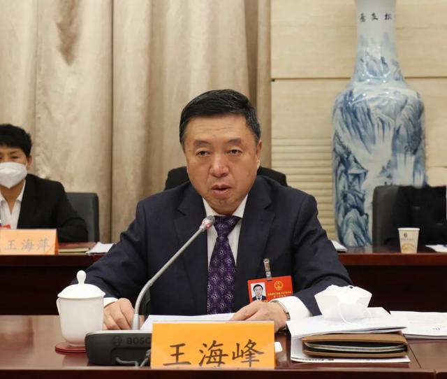 王海峰在审议省政府工作报告时强调 依法履职扎实工作积极作为 推动