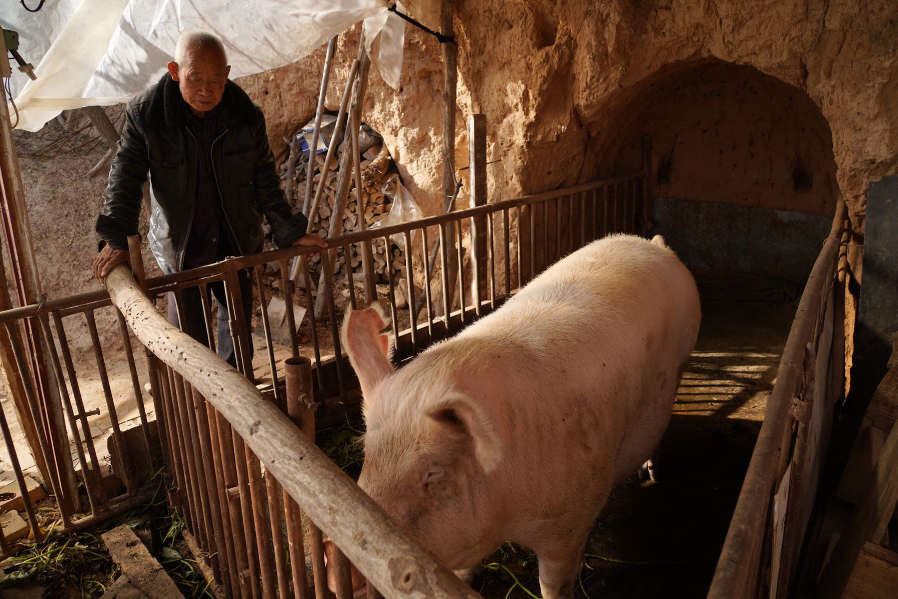 全55 - 热门商品专区