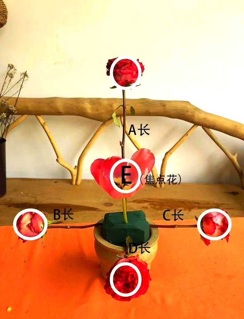 西方式三角形插花,以其严谨的对称感和封闭式风格著称,常用于需要规则