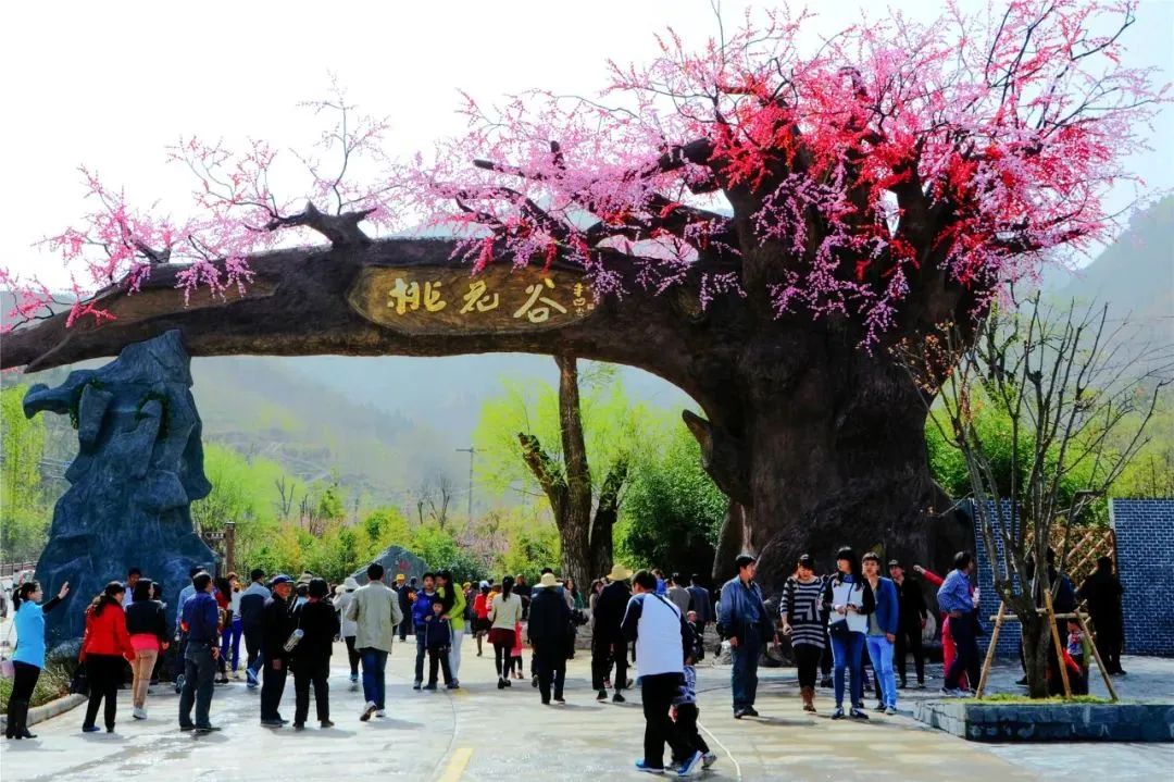 2023丹凤桃花节将于3月24日开幕,一起"桃醉"在整个春天里!