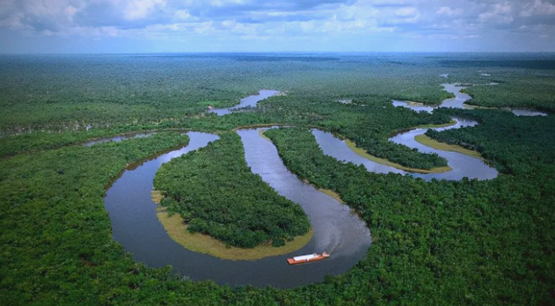 探秘巴西亚马孙平原的丰富热带雨林生态