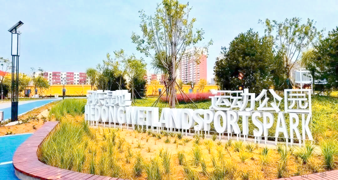 秦皇岛河东湿地运动公园:休闲与生态的完美结合