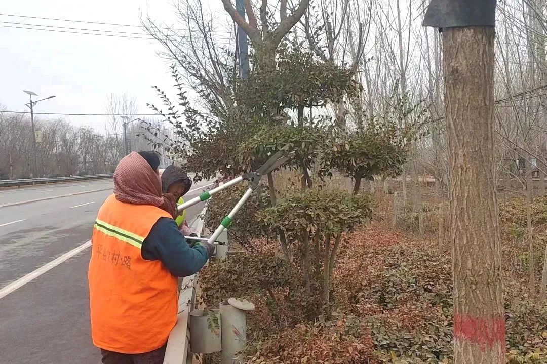 邯郸交通：春季绿化养护忙，提升环境保畅通