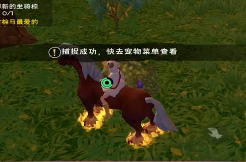 创造与魔法中蓝蜥蜴的位置在哪里?