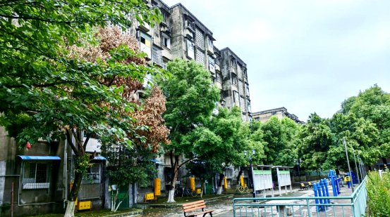 迎风的青春:石油大院的集体记忆与怀旧情怀