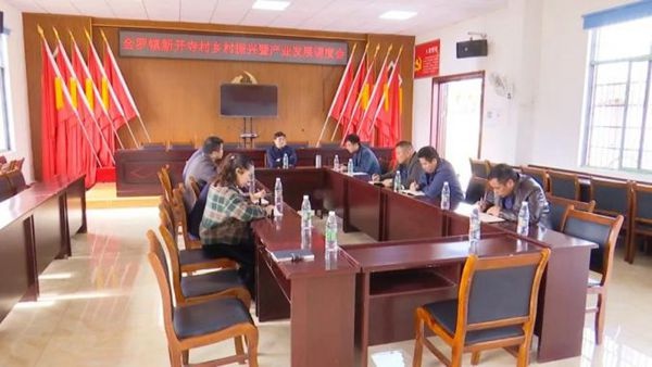 县领导金贤松调研点村乡村振兴工作