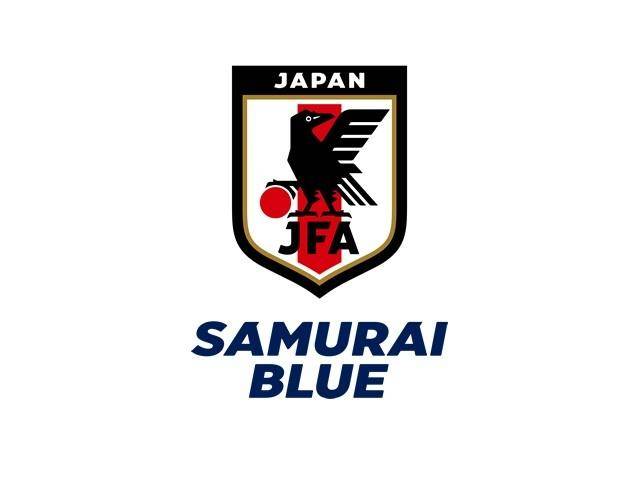 日本队官方:酒井宏树退出本期国家队,第二轮无缘对阵中国队
