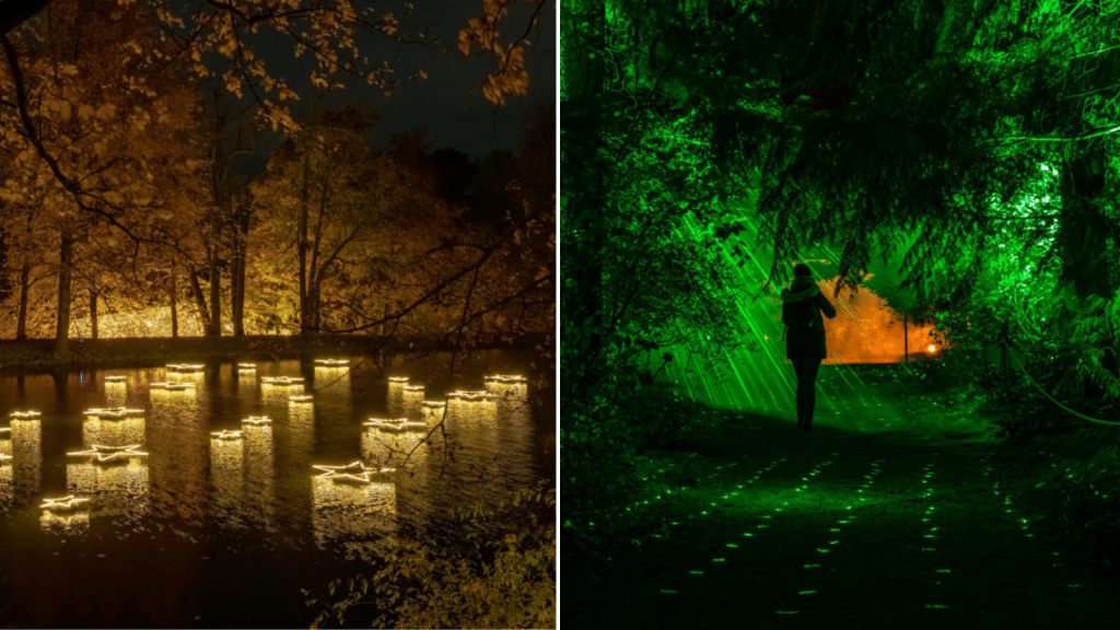 童话仙境"荧光森林"降临塞纳河畔!梦幻绝美!圣诞出大片儿!