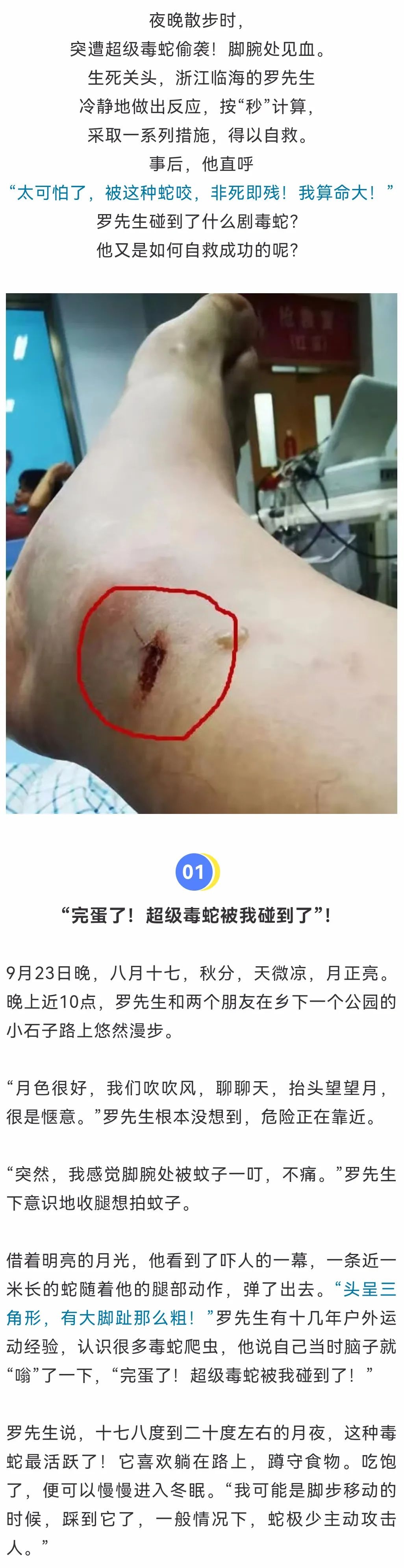 「嗨科普」浙江男子被"超级毒蛇"咬了一口!