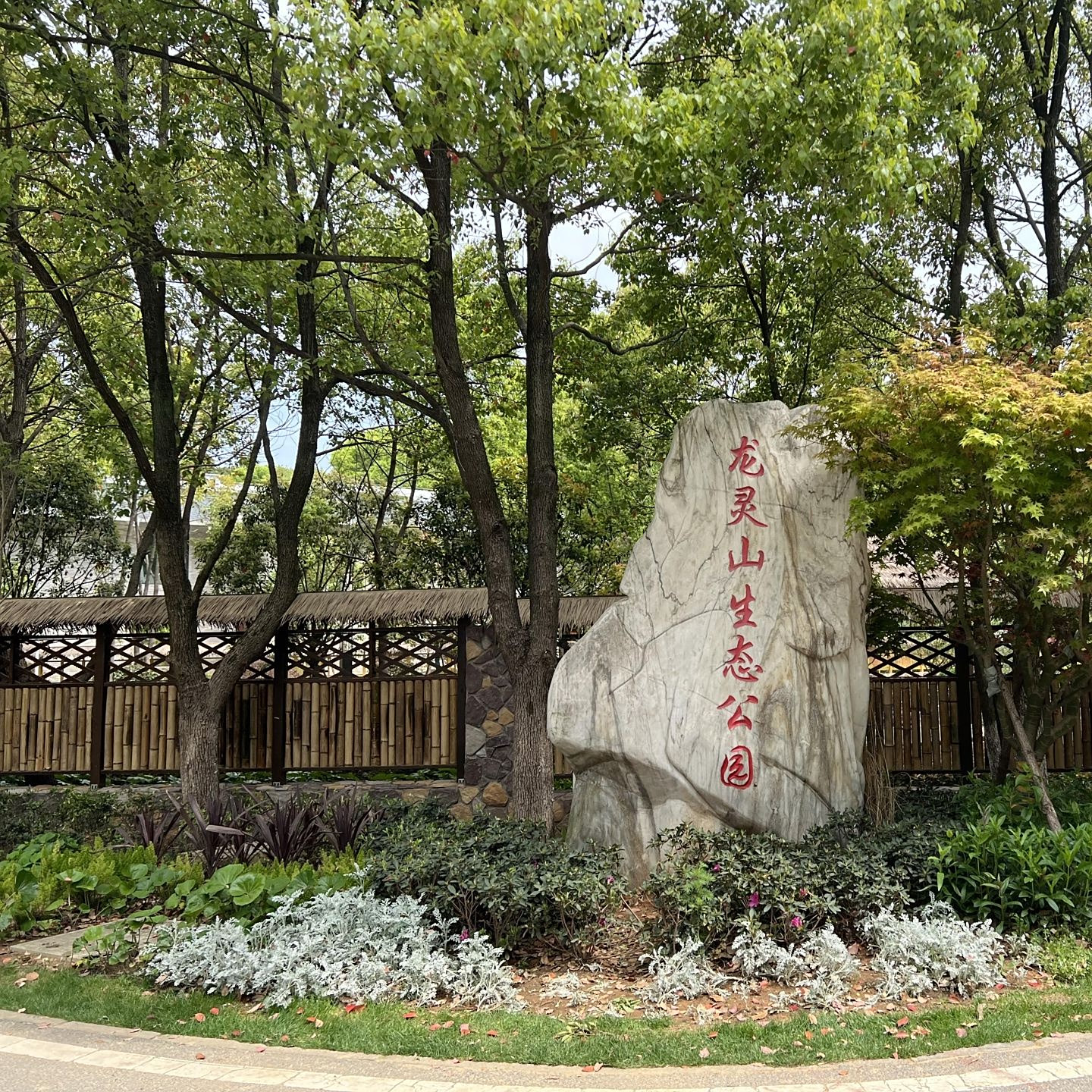 踏青又添好去处!武汉蔡甸龙灵山生态公园颜值"刷新"