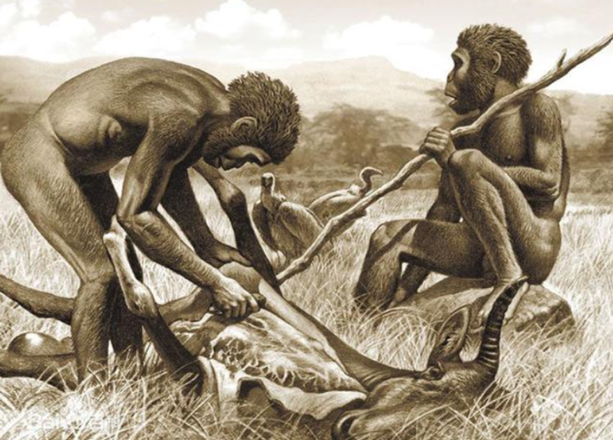我们的祖先真的是来自非洲吗?人类,究竟是怎么进化而来的?